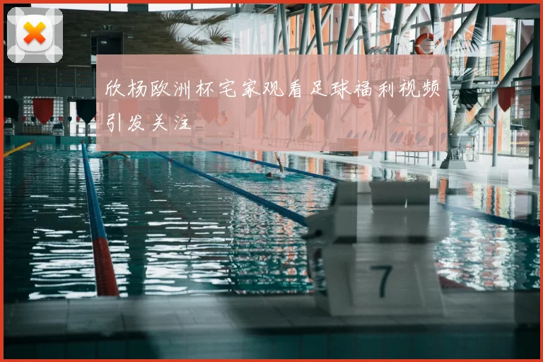 欣杨欧洲杯宅家观看足球福利视频引发关注