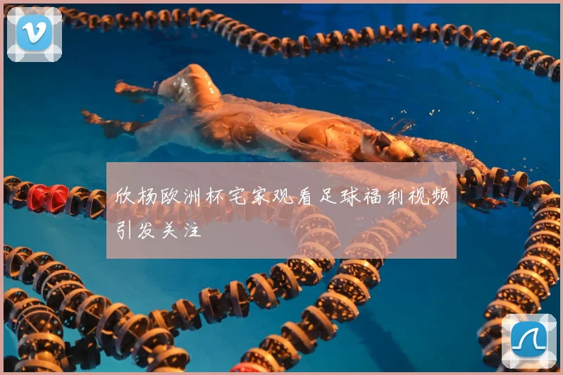 欣杨欧洲杯宅家观看足球福利视频引发关注