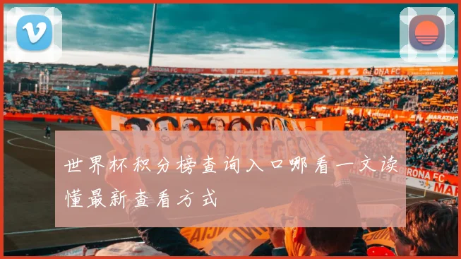 世界杯积分榜查询入口哪看一文读懂最新查看方式